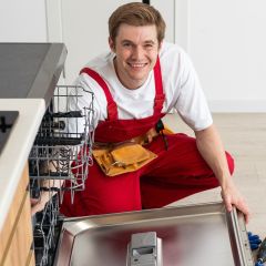 Existing Dishwasher Disconnection & Removal
